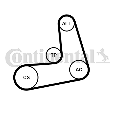 V-Ribbed Belt Set - 6PK986K1 CONTINENTAL CTAM