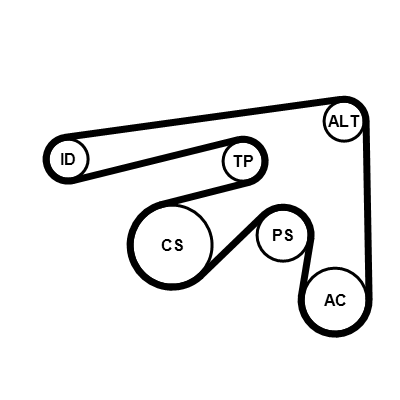 Kit Cinghie Poly-V - 7PK2061K1 CONTINENTAL CTAM