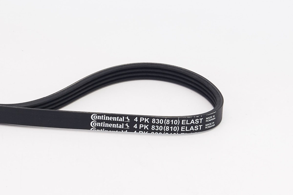 V-Ribbed Belt - 4PK830 ELAST CONTINENTAL CTAM