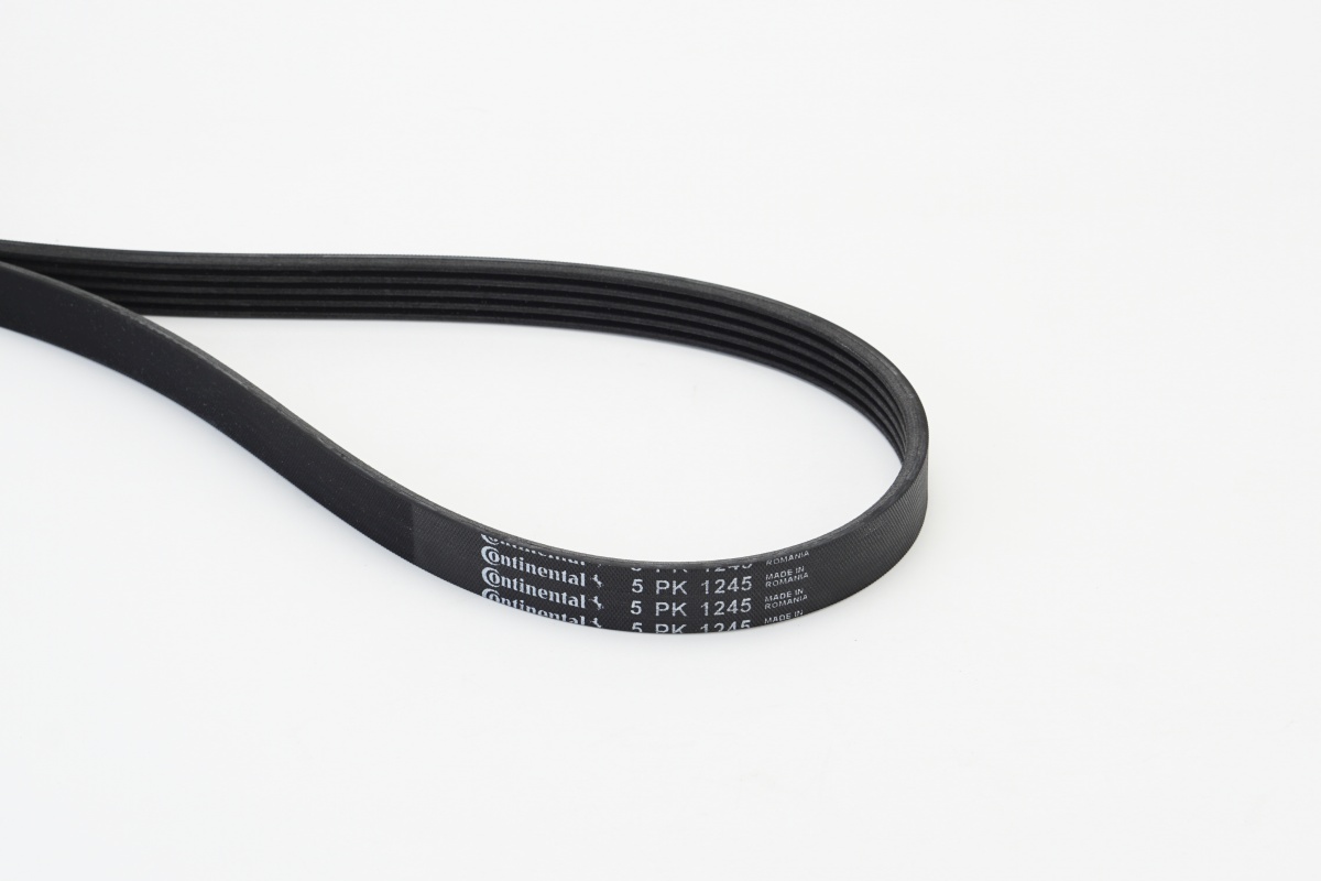 V-Ribbed Belt - 5PK1245 CONTINENTAL CTAM