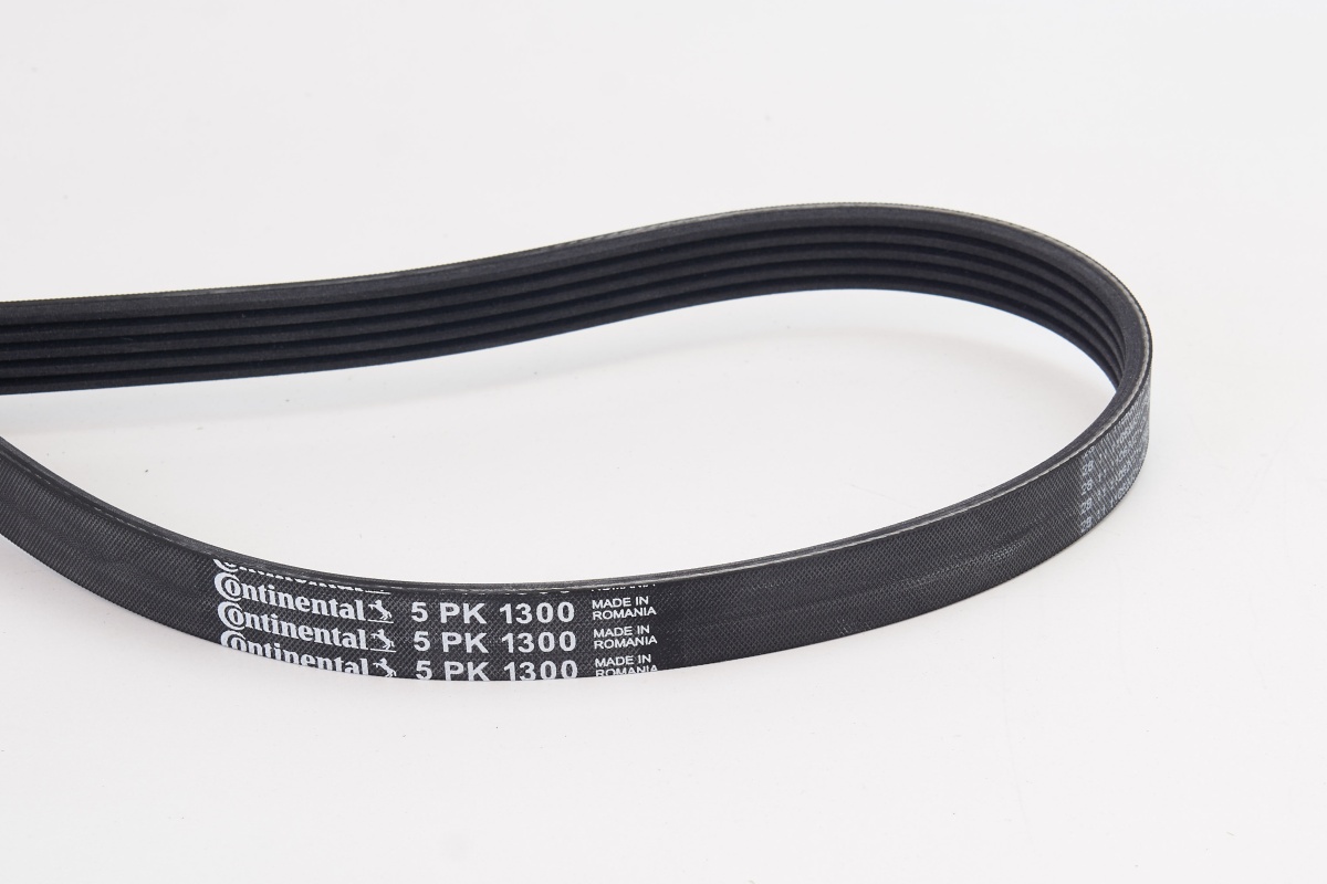 Cinghia Poly-V - 5PK1300 CONTINENTAL CTAM