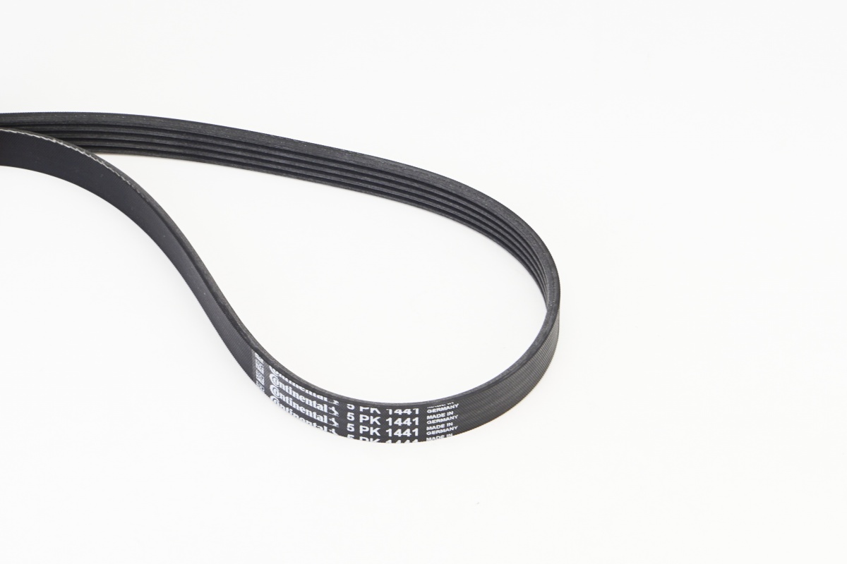 V-Ribbed Belt - 5PK1441 CONTINENTAL CTAM
