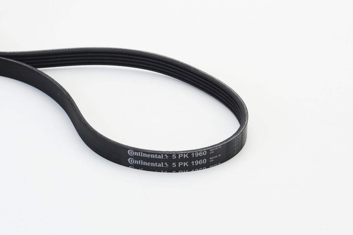 V-Ribbed Belt - 5PK1960 CONTINENTAL CTAM