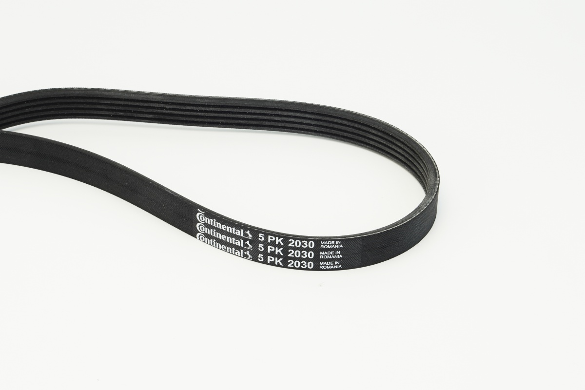 Cinghia Poly-V - 5PK2030 CONTINENTAL CTAM