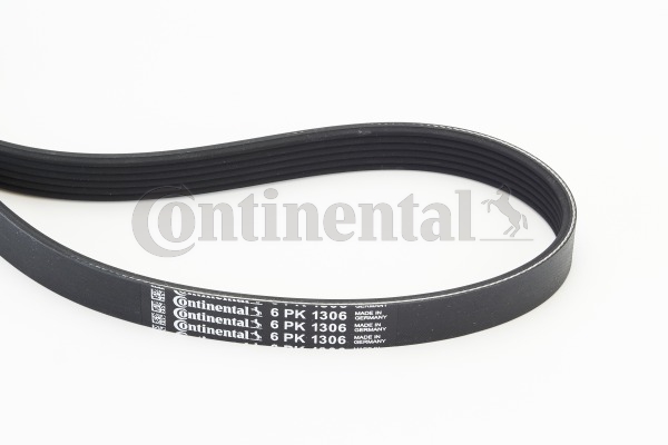 Cinghia Poly-V - 6PK1306 CONTINENTAL CTAM