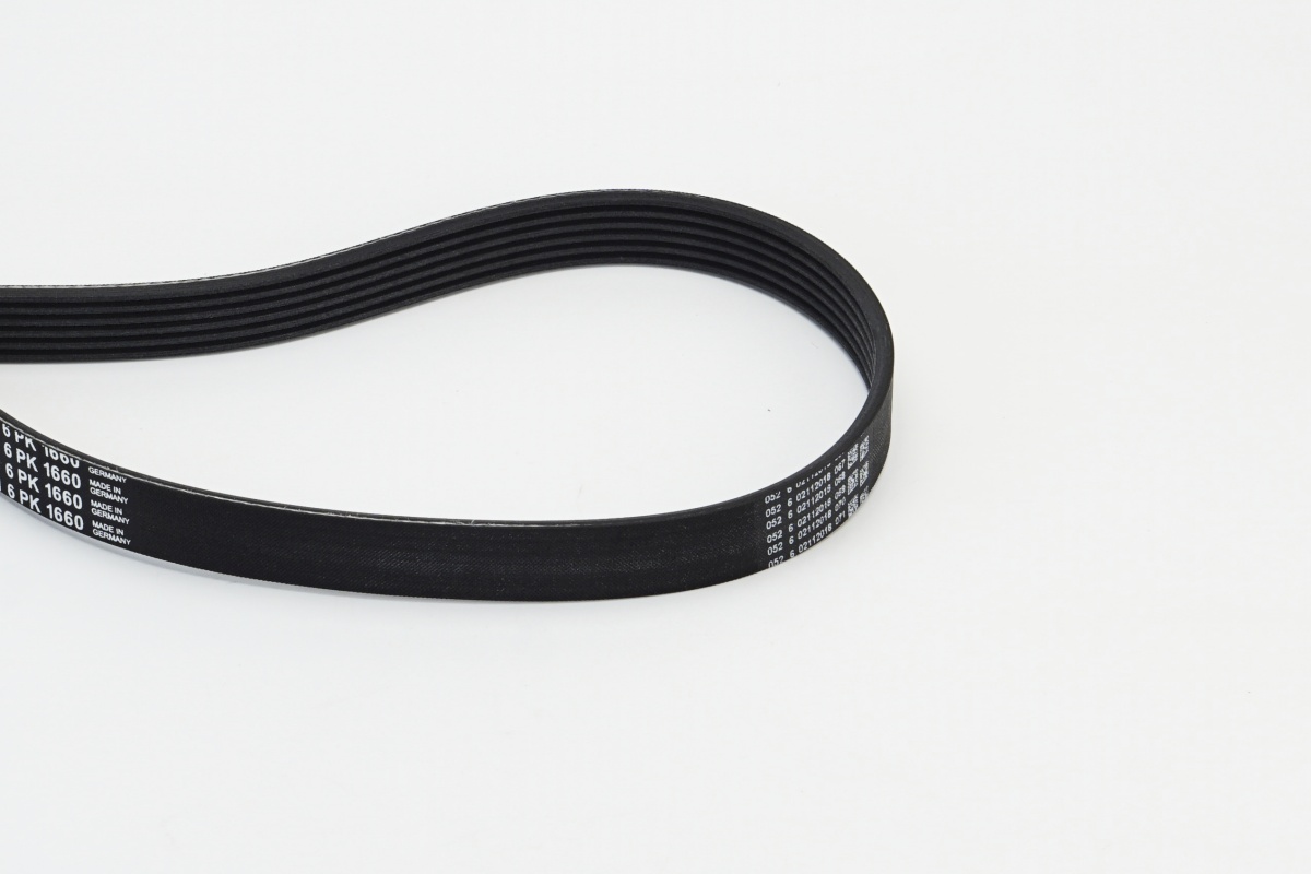 V-Ribbed Belt - 6PK1660 CONTINENTAL CTAM