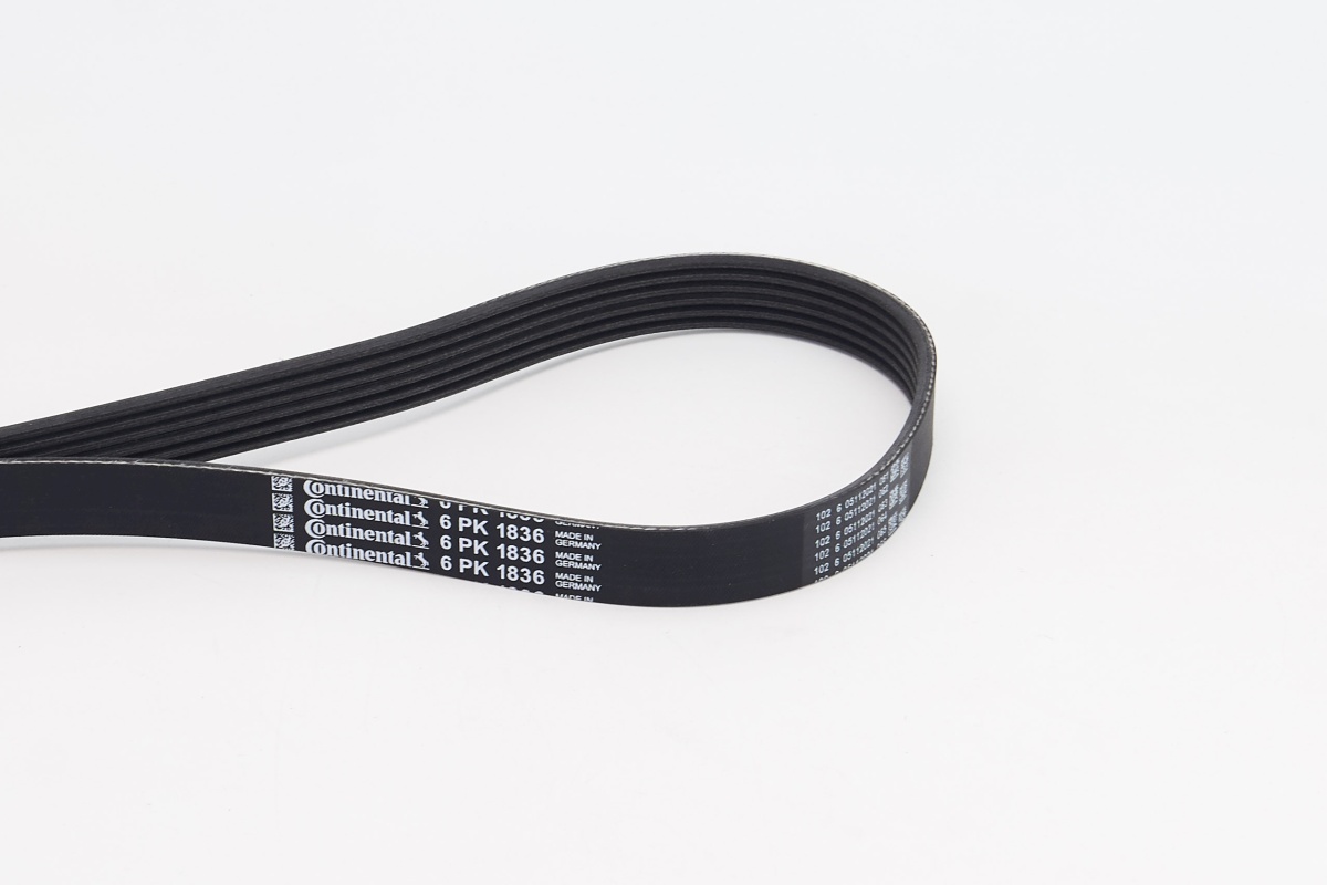 V-Ribbed Belt - 6PK1836 CONTINENTAL CTAM