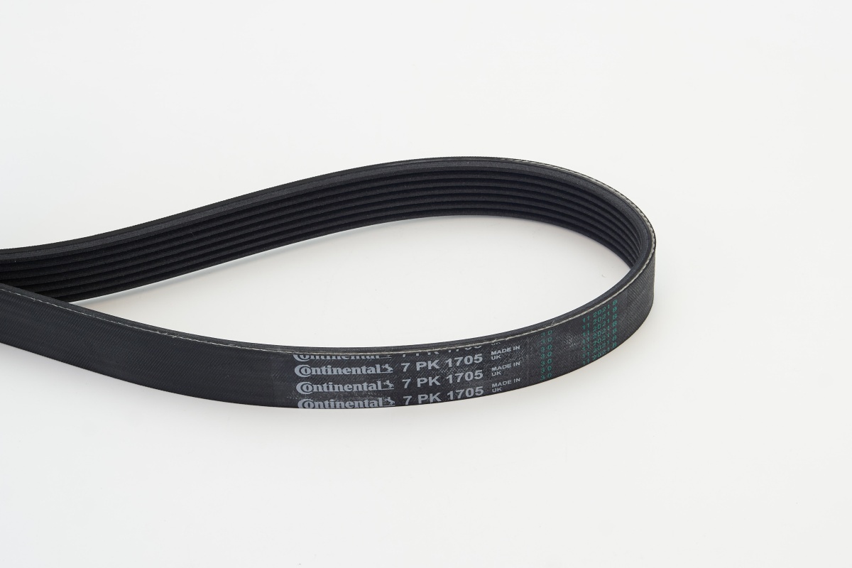 V-Ribbed Belt - 7PK1705 CONTINENTAL CTAM
