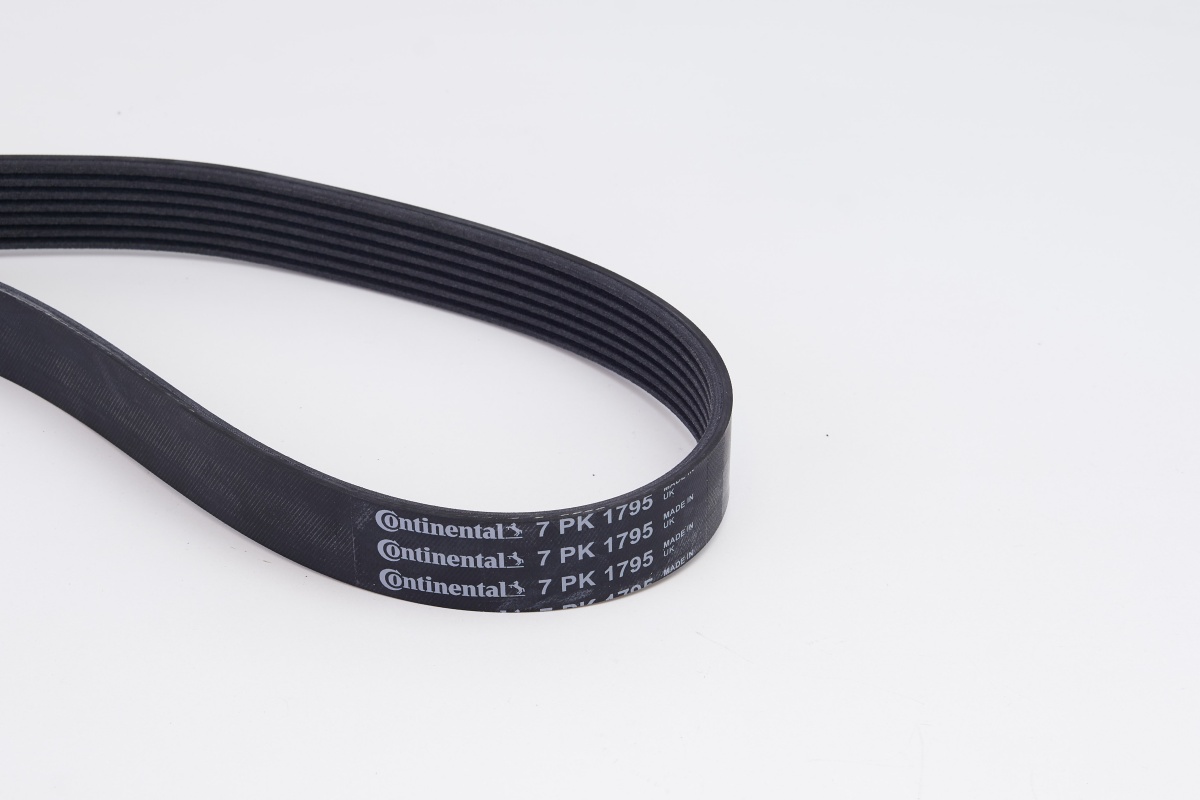V-Ribbed Belt Set - 7PK1795K1 CONTINENTAL CTAM