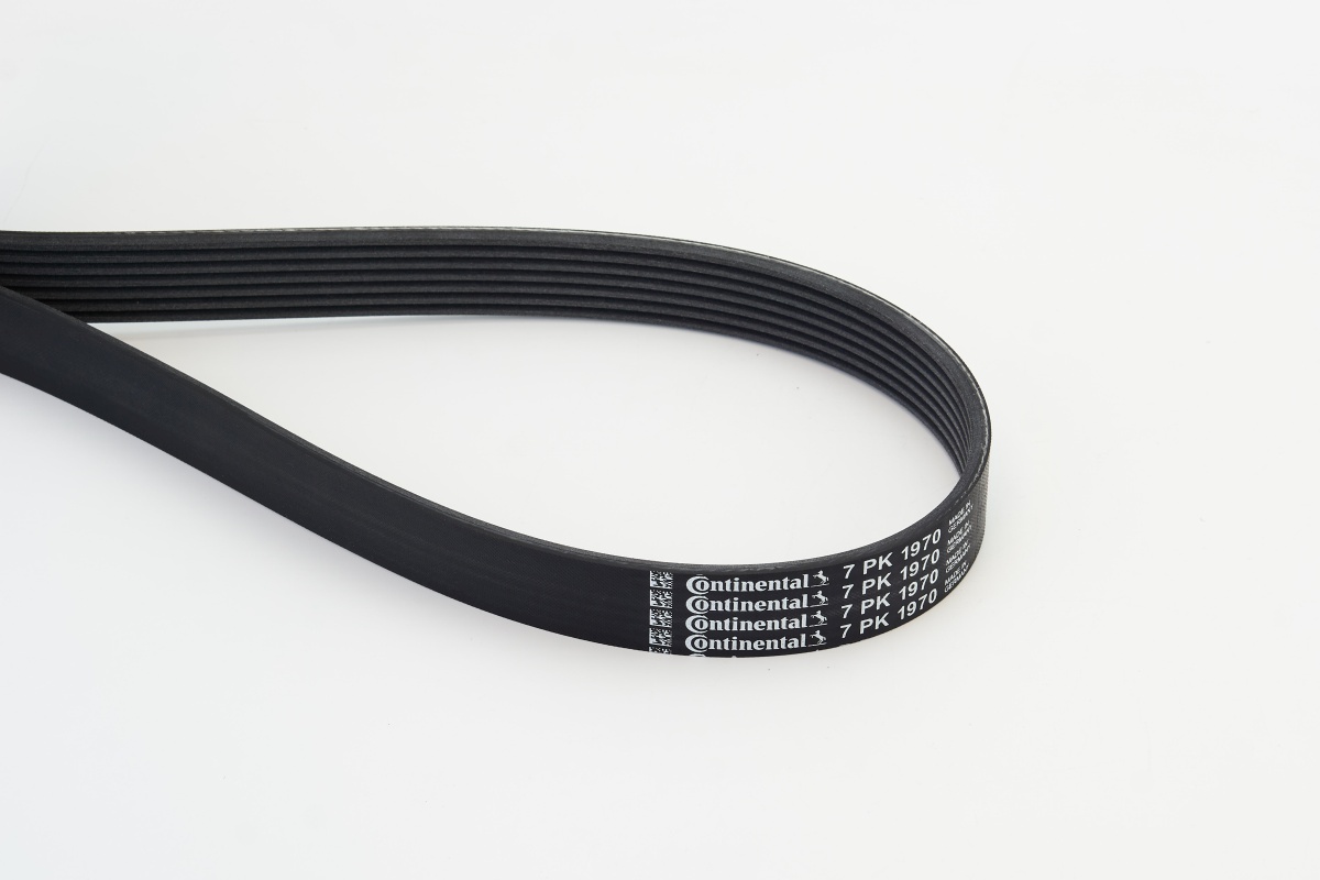 V-Ribbed Belt - 7PK1970 CONTINENTAL CTAM