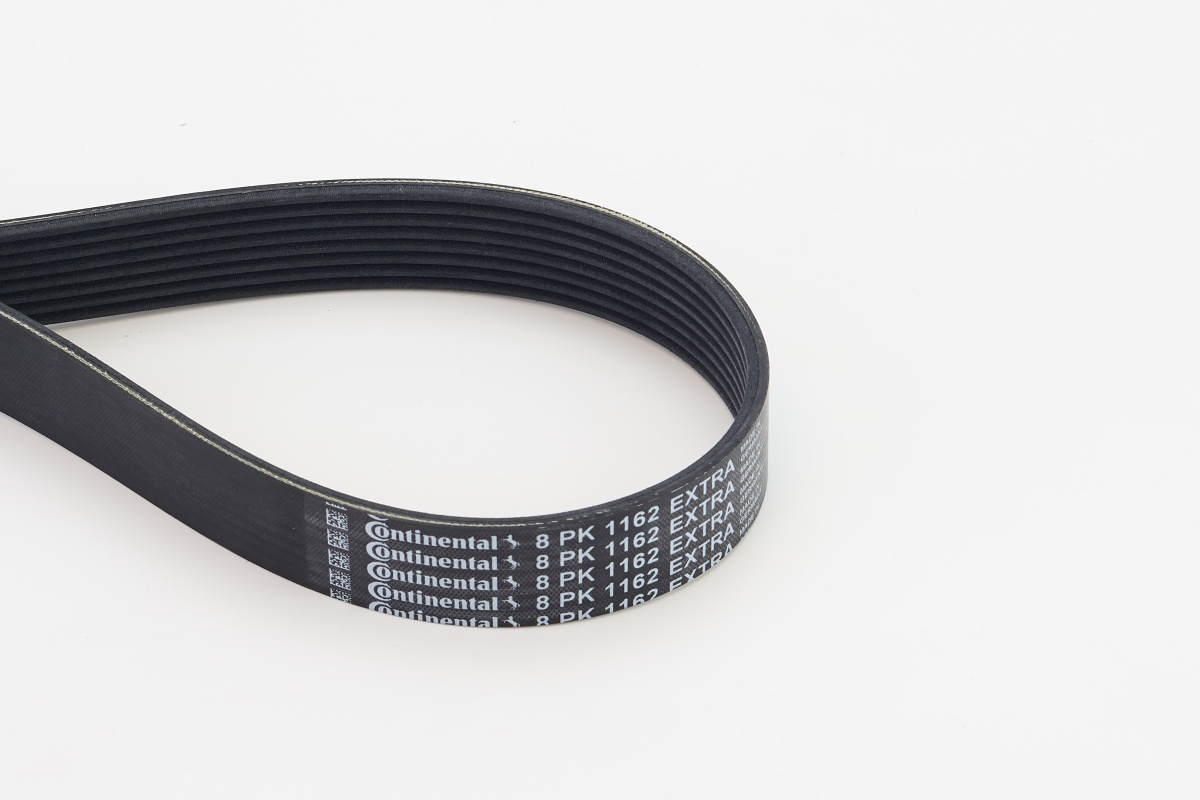 V-Ribbed Belt - 8PK1162 EXTRA CONTINENTAL CTAM