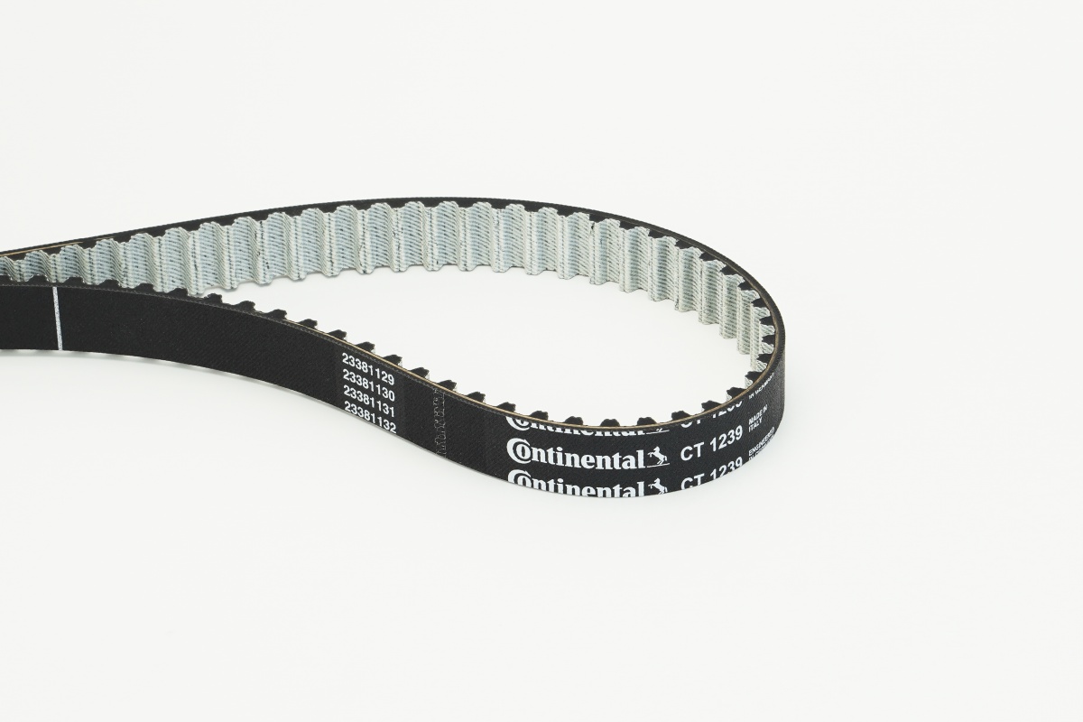 Timing Belt - CT1239 CONTINENTAL CTAM