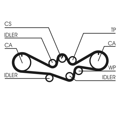 Зубчатый ремень - CT1050 CONTINENTAL CTAM