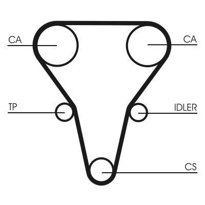 Cinghia dentata - CT1069 CONTINENTAL CTAM