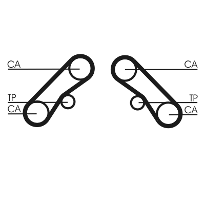 Cinghia dentata - CT1074 CONTINENTAL CTAM