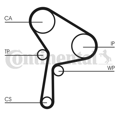 Timing Belt - CT1150 CONTINENTAL CTAM