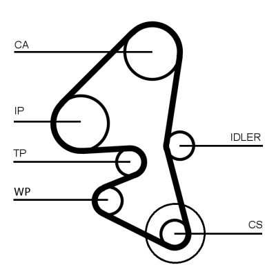 Timing Belt - CT1203 CONTINENTAL CTAM