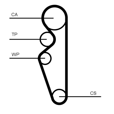 Timing Belt - CT1164 CONTINENTAL CTAM