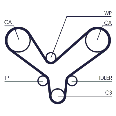 Timing Belt - CT1175 CONTINENTAL CTAM