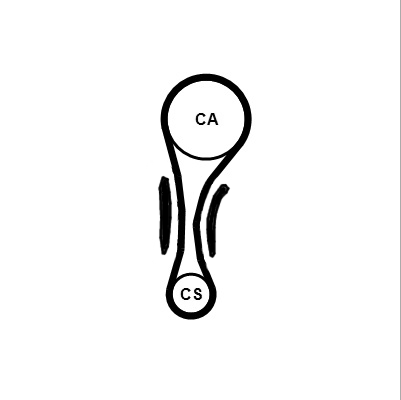 Timing Belt Set - CT1210K1 CONTINENTAL CTAM