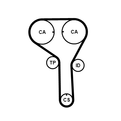 Cinghia dentata - CT1247 CONTINENTAL CTAM