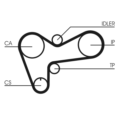 Timing Belt - CT508 CONTINENTAL CTAM