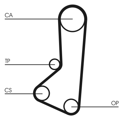 Cinghia dentata - CT511 CONTINENTAL CTAM