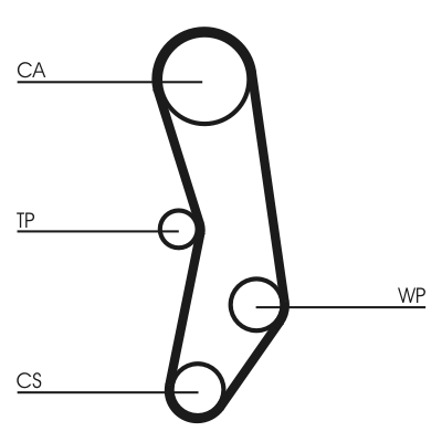 Timing Belt - CT515 CONTINENTAL CTAM