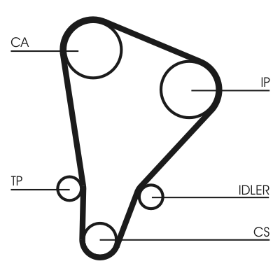 Timing Belt - CT521 CONTINENTAL CTAM