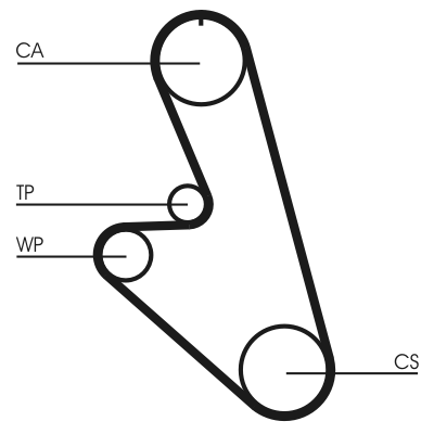 Timing Belt - CT959 CONTINENTAL CTAM