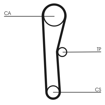 Timing Belt - CT536 CONTINENTAL CTAM