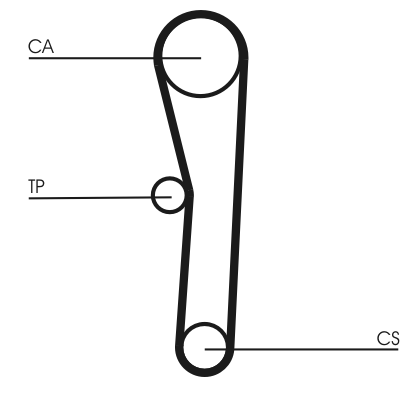 Timing Belt - CT536 CONTINENTAL CTAM