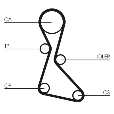 Cinghia dentata - CT553 CONTINENTAL CTAM