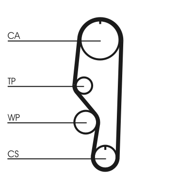 Cinghia dentata - CT557 CONTINENTAL CTAM