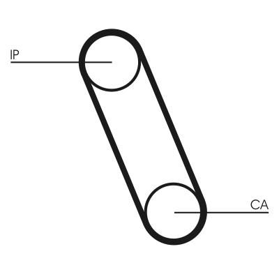 Cinghia dentata - CT561 CONTINENTAL CTAM