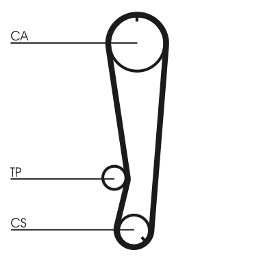 Cinghia dentata - CT569 CONTINENTAL CTAM