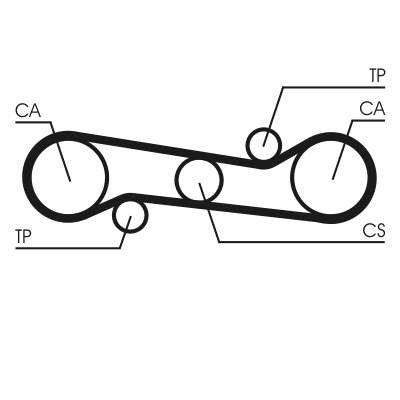 Timing Belt - CT581 CONTINENTAL CTAM