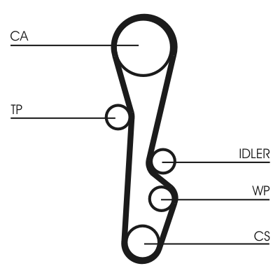 Timing Belt - CT586 CONTINENTAL CTAM