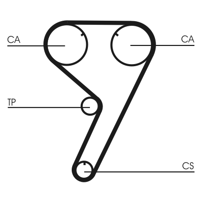 Timing Belt - CT608 CONTINENTAL CTAM