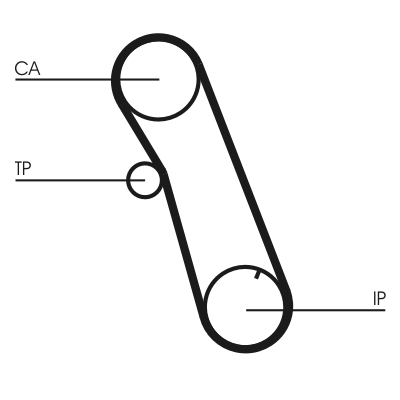 Timing Belt - CT616 CONTINENTAL CTAM