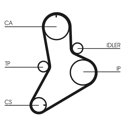 Timing Belt Set - CT622K1 CONTINENTAL CTAM