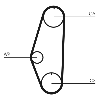 Cinghia dentata - CT629 CONTINENTAL CTAM