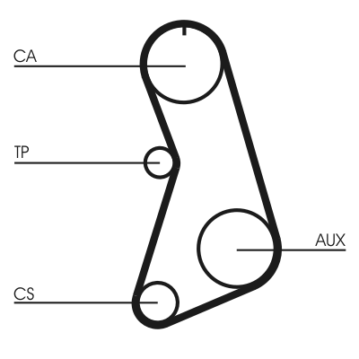 Timing Belt - CT647 CONTINENTAL CTAM