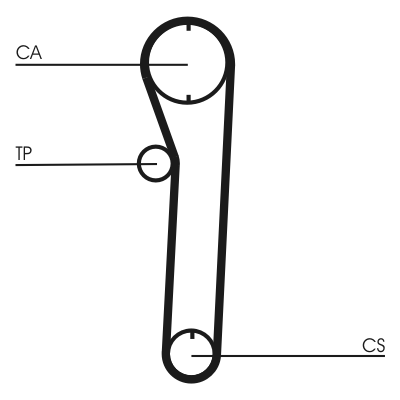 Cinghia dentata - CT669 CONTINENTAL CTAM