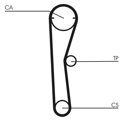 Timing Belt - CT669 CONTINENTAL CTAM