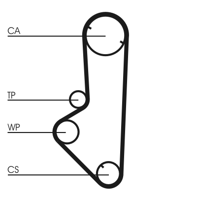 Timing Belt - CT707 CONTINENTAL CTAM