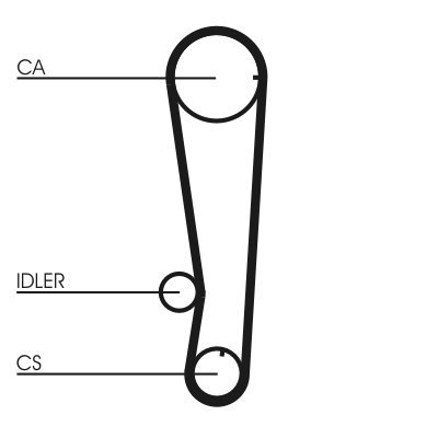 Timing Belt - CT715 CONTINENTAL CTAM