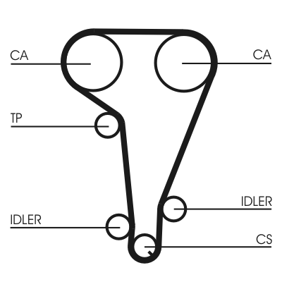 Timing Belt - CT728 CONTINENTAL CTAM