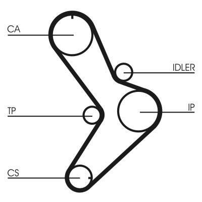 Cinghia dentata - CT731 CONTINENTAL CTAM