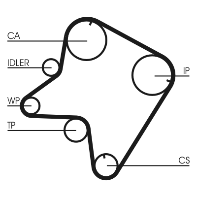 Timing Belt - CT762 CONTINENTAL CTAM